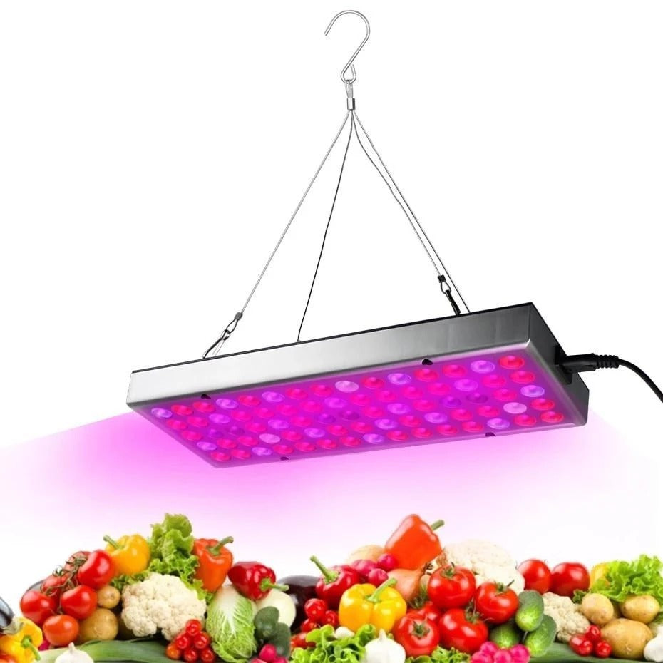 LED Plant Supplement Light For Growing Seedlings In Greenhouses