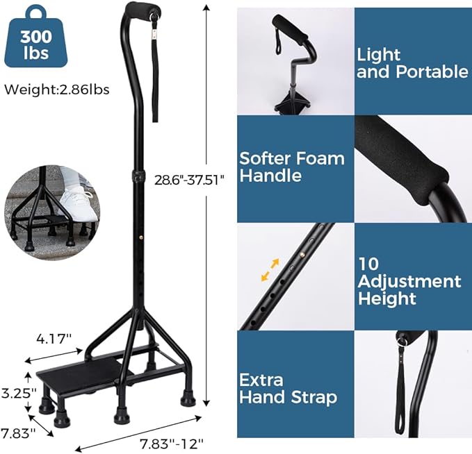 MMingo Adjustable Stair Climbing Pole