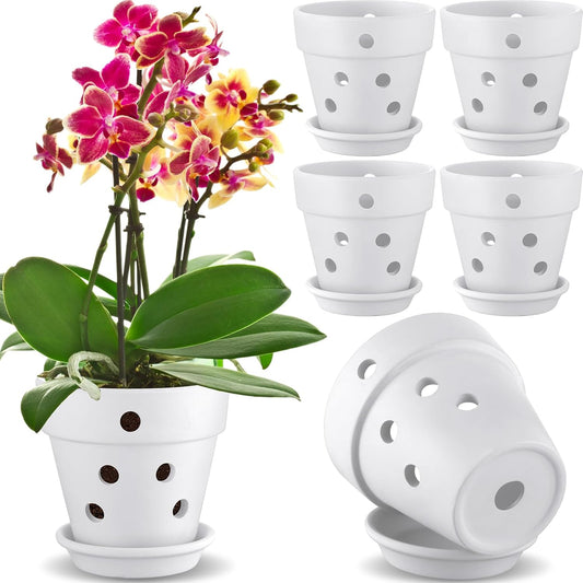 Remerry 6 Pcs Orchid Pot with Drainage Holes and Saucers Clay Plant Flower Terracotta Pots