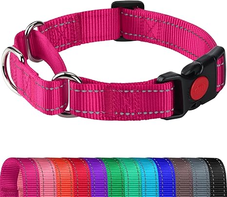 Joytale Martingale Collar for Dogs - Medium