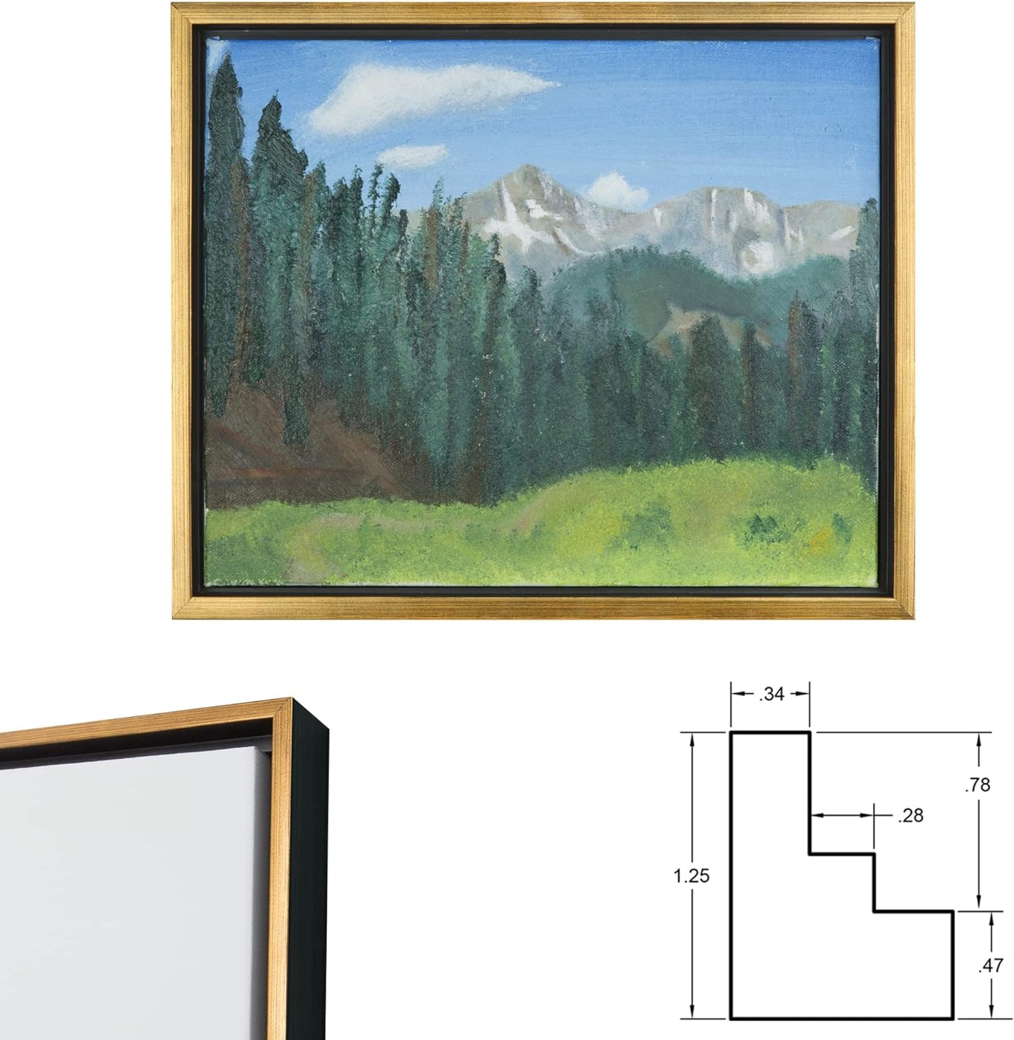 Jerry's 3/4 Core Floater 3 Pack Frames for Canvas Artwork Display [16x20 - Black/Antique Gold]