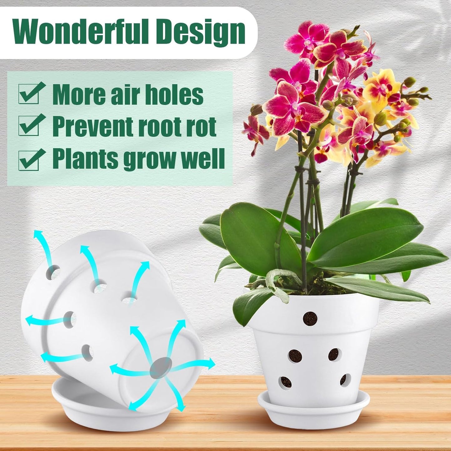 Remerry 6 Pcs Orchid Pot with Drainage Holes and Saucers Clay Plant Flower Terracotta Pots