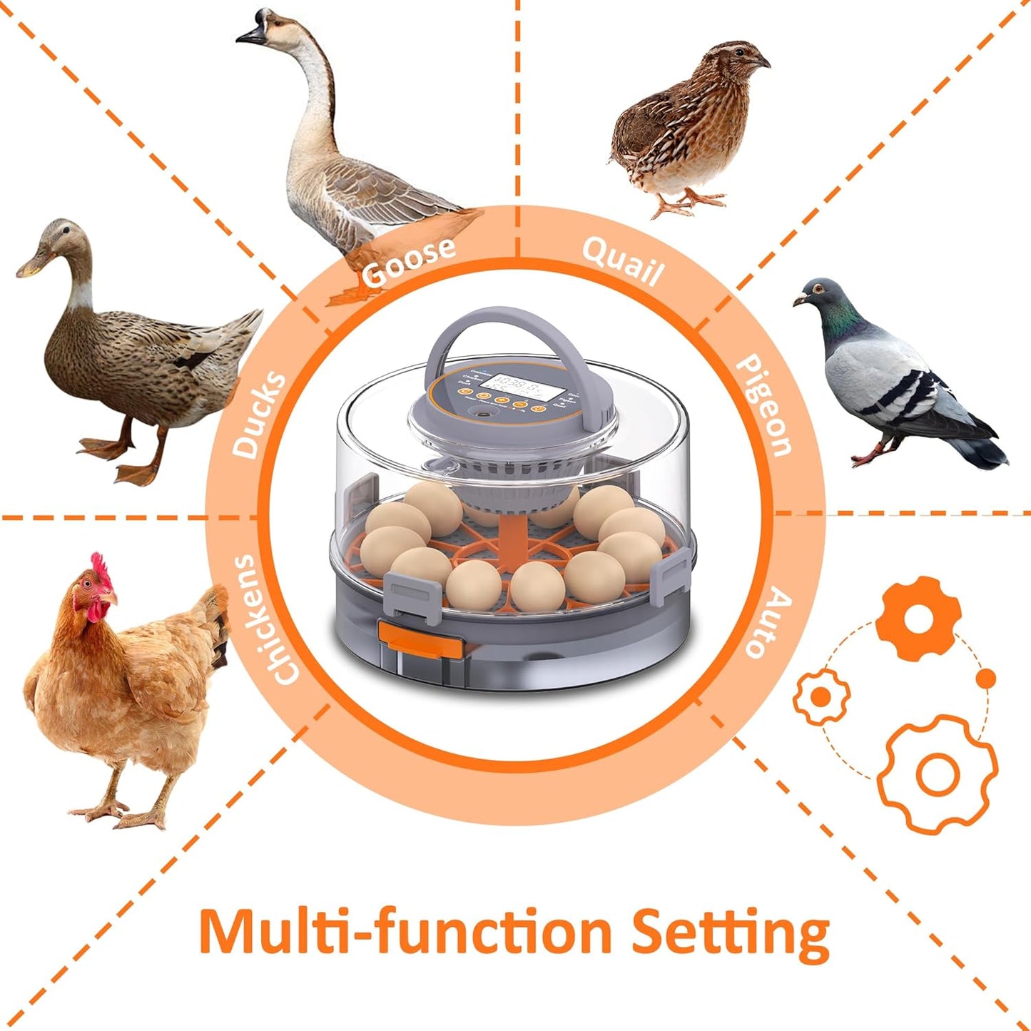 Egg Incubator with Automatic Egg Turning and Humidity Control