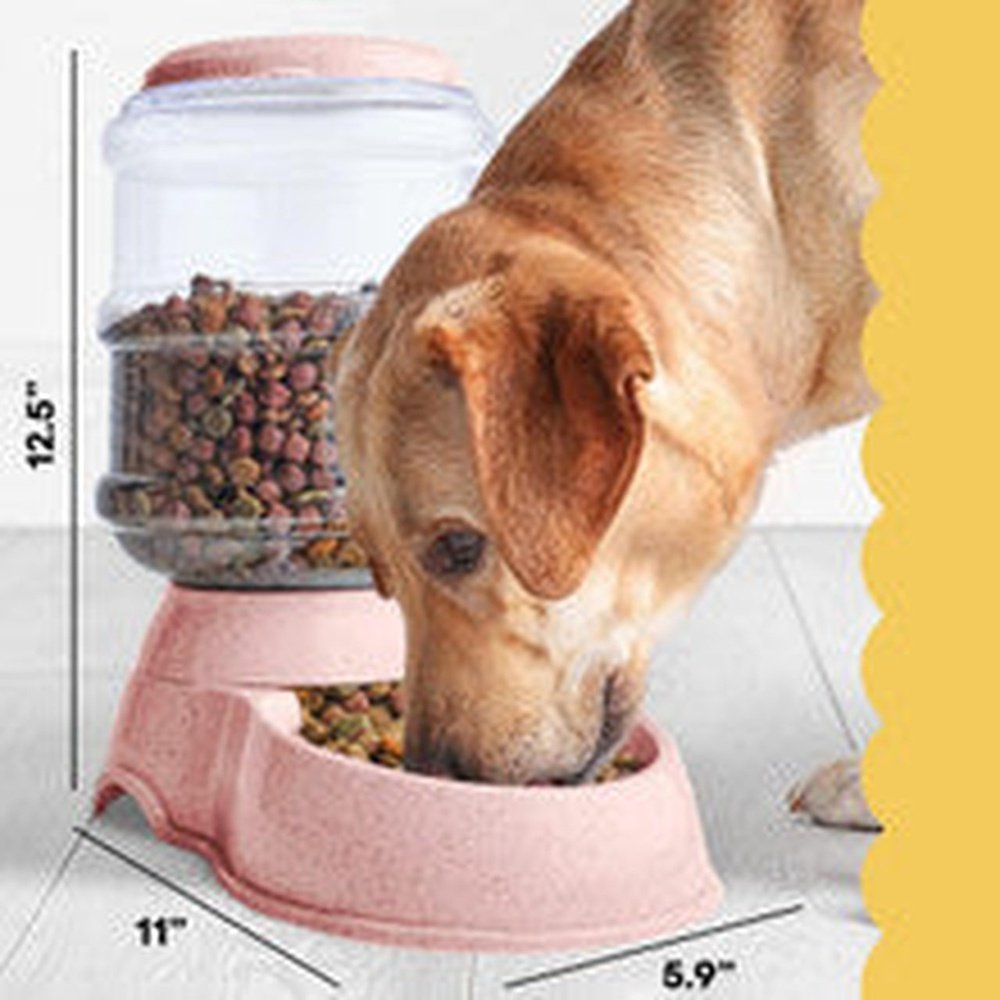 Noa Store Automatic Pet Food/Water Dispenser - T&S Outlets