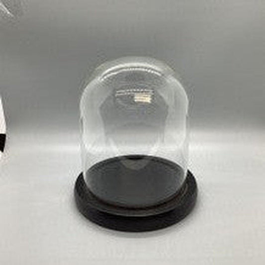 WHOLE HOUSEWARES | Decorative Clear Glass Dome - T&S Outlets